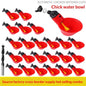 Chicken Water Bowl Poultry Automatic Drinking Bowl Chicken, Duck, And Goose Drinking Cup
